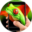 Frog On Hand In Phone Prank APK