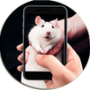 Rat On Screen Hand Simulator APK