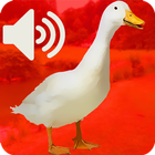 Decoy for Duck and Goose Electronic icône