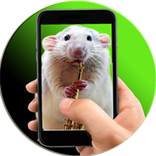 Mouse Simulator On Screen