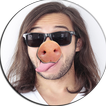 Pig Snout On Face Photo Piglet