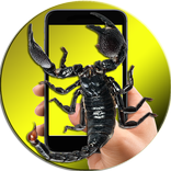 Scorpion On Hand Screen Photo