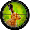 Sniper Sight Camera Joke APK