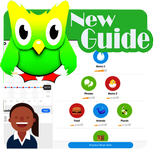 Duolingo Learn Languages Guide