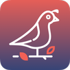 Bildilçin APK