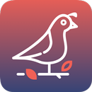 Bildilçin APK