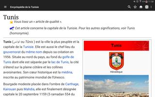 Encyclopédie de la Tunisie Affiche