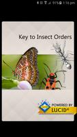 Insect Orders Plakat