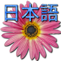 🌼 Japanese Dictionary
