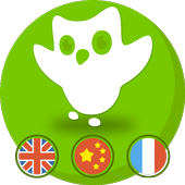 2017 Duolingo English Guide icon