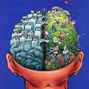 IQ Test Pro APK