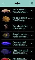 Acuario Explora screenshot 2