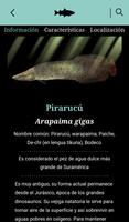 Acuario Explora скриншот 3