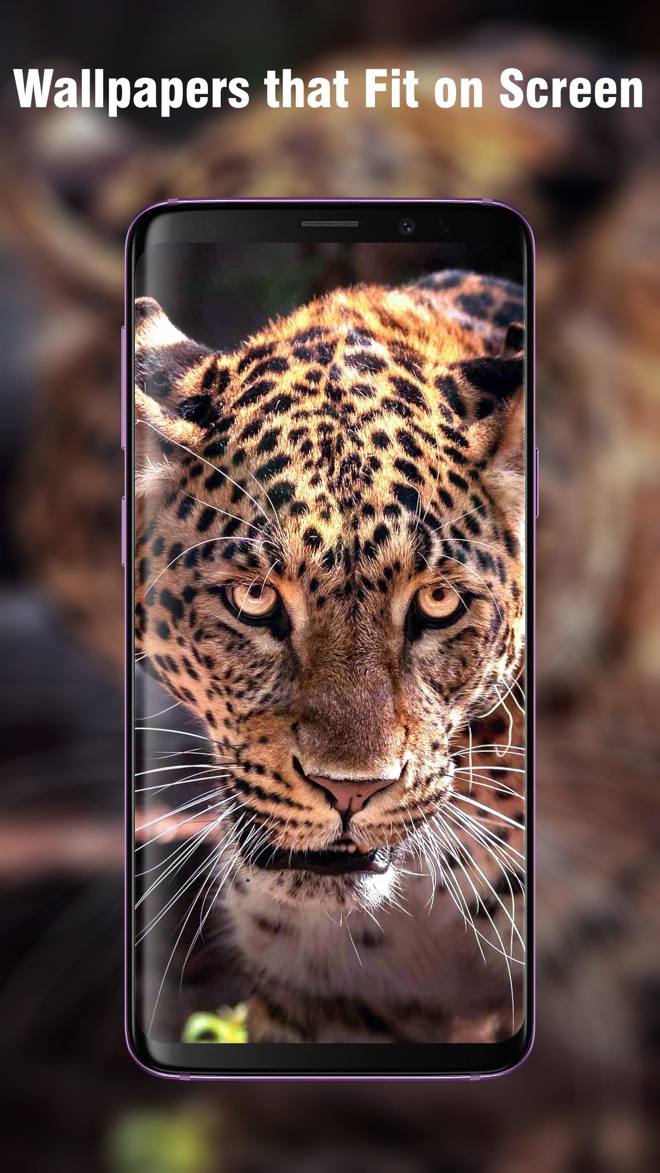 New HD Animal Wallpapers APK voor Android Download New HD Animal Wallpapers APK voor Android Download