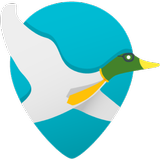 Quack icône