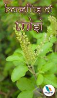 Tulsi ke Fayde পোস্টার