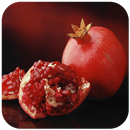 Benefit of ANAR (DADAM) APK