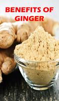 Benefits of Ginger (ADU) plakat