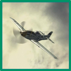 Aircraft Hunter Airplane Games icône
