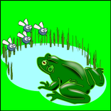 Shikari Frogy - Fun Games