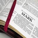 Bible KJV APK