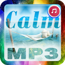 موسيقى استرخاء وهدوء جديد - Relaxation music Calm aplikacja