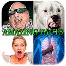 Amazing Facts APK