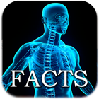 Human Body Facts icône