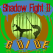Top Fight Guide 4 Shadow II