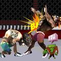 ”Mortal Street Fighter MMA Club