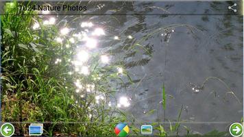 1024 Nature Photos screenshot 1