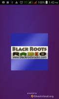 Black Roots Radio 포스터