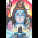 Beginners Shiva Puja APK