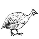 Le guinea fowl and the chicken APK