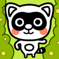 Racoon Evolution