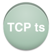 ”TCP Testsuite