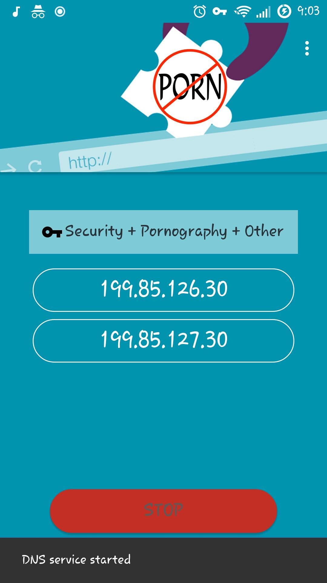 Anti Porn & Security DNS Ekran Görüntüsü 1.