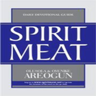 Icona Spirit Meat Devotional