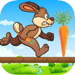 Bunny run 2