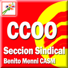 Sección S. CCOO Benito Menni 아이콘