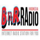Radio BNR icône