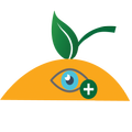 ILaraPay