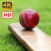 Cricket Wallpapers HD+4K
