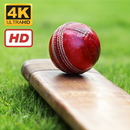 Cricket Wallpapers HD+4K APK