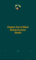 Black Beauty 01  (FERS) Affiche