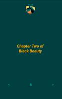 Black Beauty 02 (FERS) Affiche