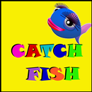 Catch Fish APK