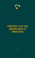 Pinocchio 12 (FERS) poster