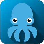 Octo - Auto Settings