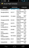 1 Schermata Brunei Flight Schedule